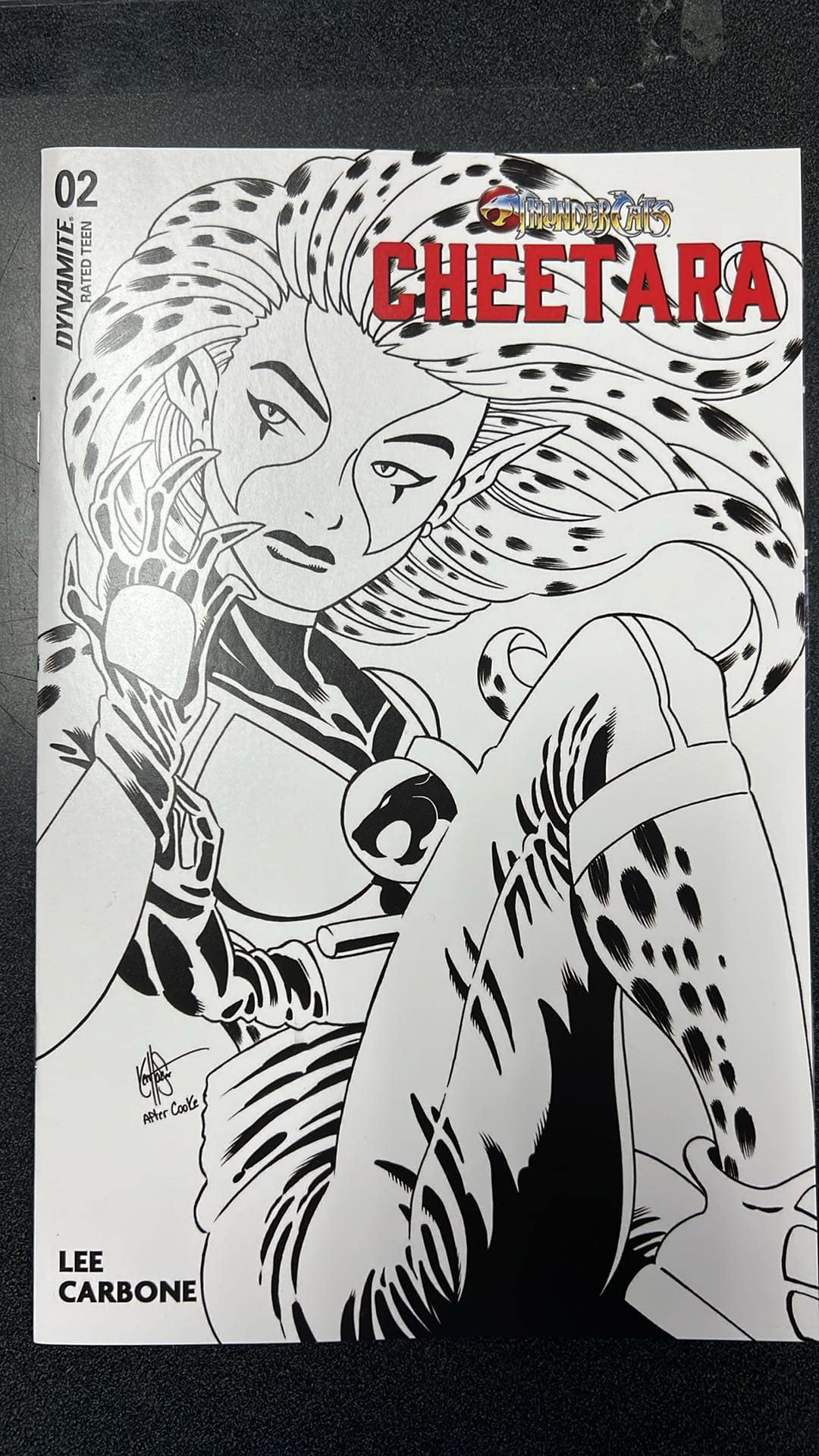Thundercats Cheetara #2 Cover S Foc Variant Edition Haeser Catwoman