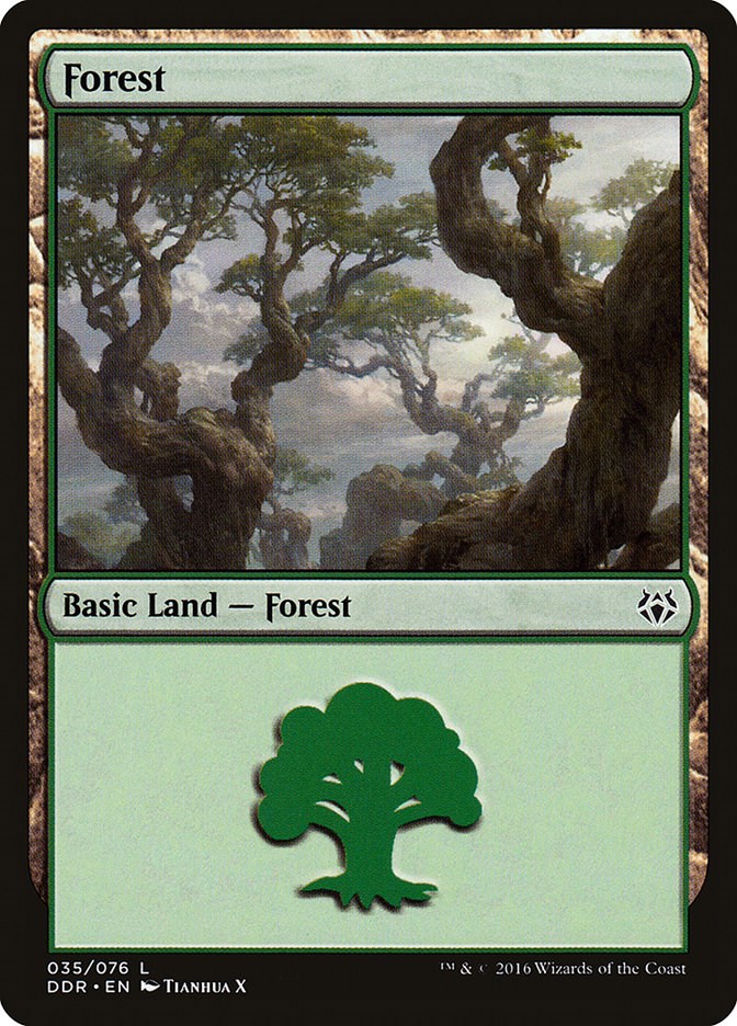 Forest (035)