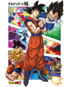 Dragon Ball Z Super Panels