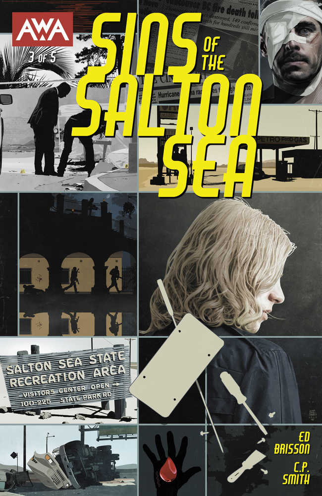 Sins Of The Salton Sea #3 (Of 5) Cover A Bradstreet (Mature)