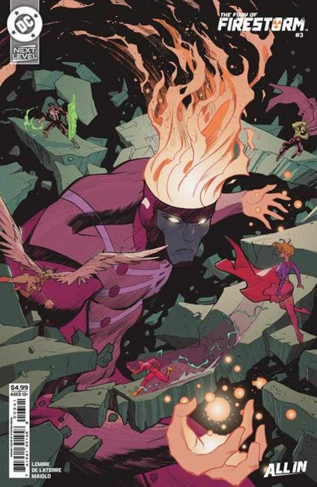Fury Of Firestorm #3 Cover D Stephen Green Variant