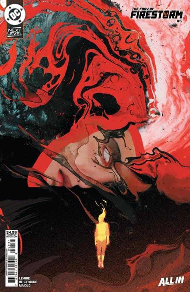 Fury Of Firestorm #5 Cover C Brad Walker Variant