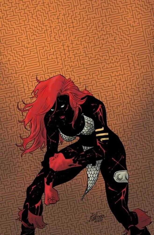 Red Sonja She Devil With A Sword #3 Cover O 1:7 Pablo De Bonis Absolute Homage Full Art Variant