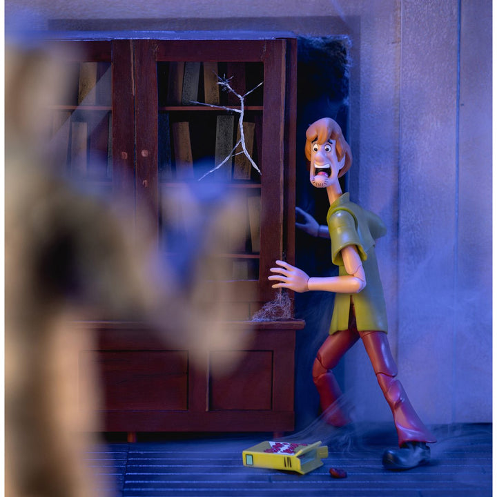 Scooby-Doo! Wave 1 Shaggy 1:12 Scale Action Figure