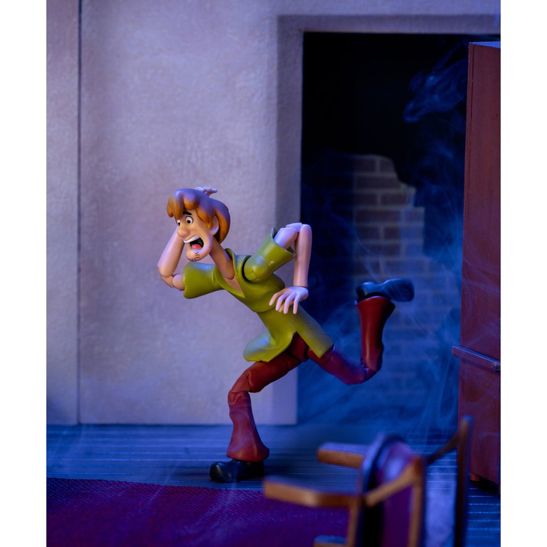 Scooby-Doo! Wave 1 Shaggy 1:12 Scale Action Figure