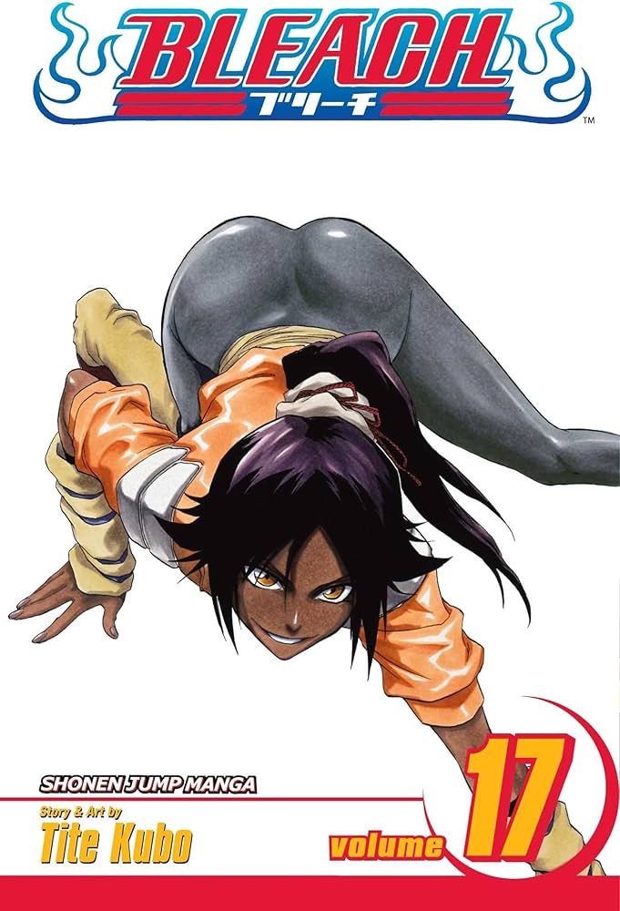 Bleach Graphic Novel Volume 17