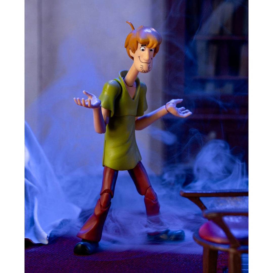 Scooby-Doo! Wave 1 Shaggy 1:12 Scale Action Figure