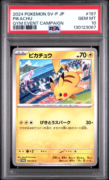 2024 POKEMON JAPANESE SV-P PROMO #197 PIKACHU GYM EVENT CAMPAIGN PSA 10
