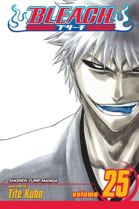 Bleach Graphic Novel Volume 25
