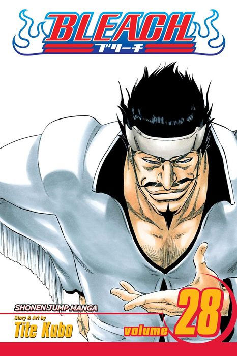 Bleach Graphic Novel Volume 28