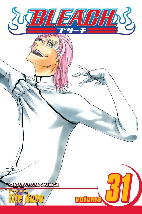 Bleach Graphic Novel Volume 31