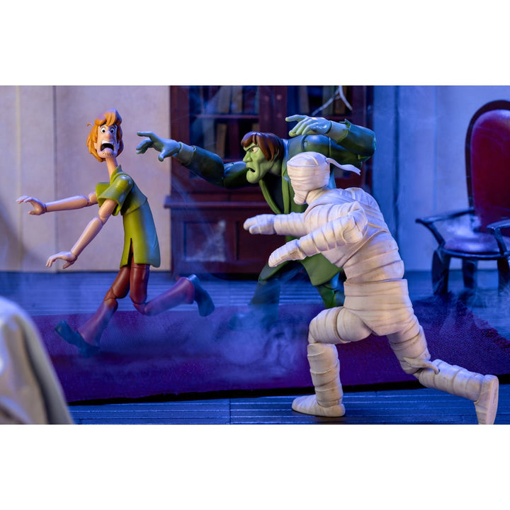 Scooby-Doo! Wave 1 Shaggy 1:12 Scale Action Figure