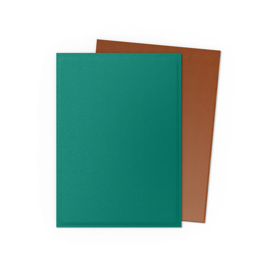 Dragon Shield - Power & Copper - Matte Dual Sleeves - Standard (100 Sleeves)