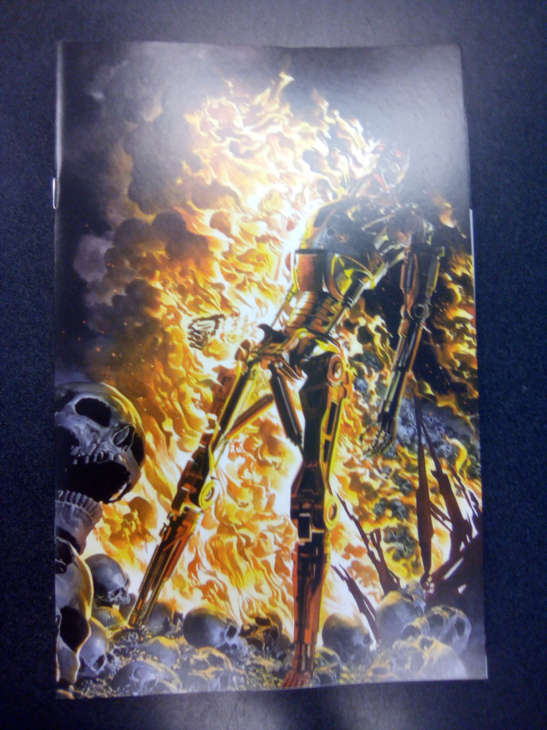 Terminator #1 Cover S 40 Copy Variant Edition Ross Burning Earth Icon Vir