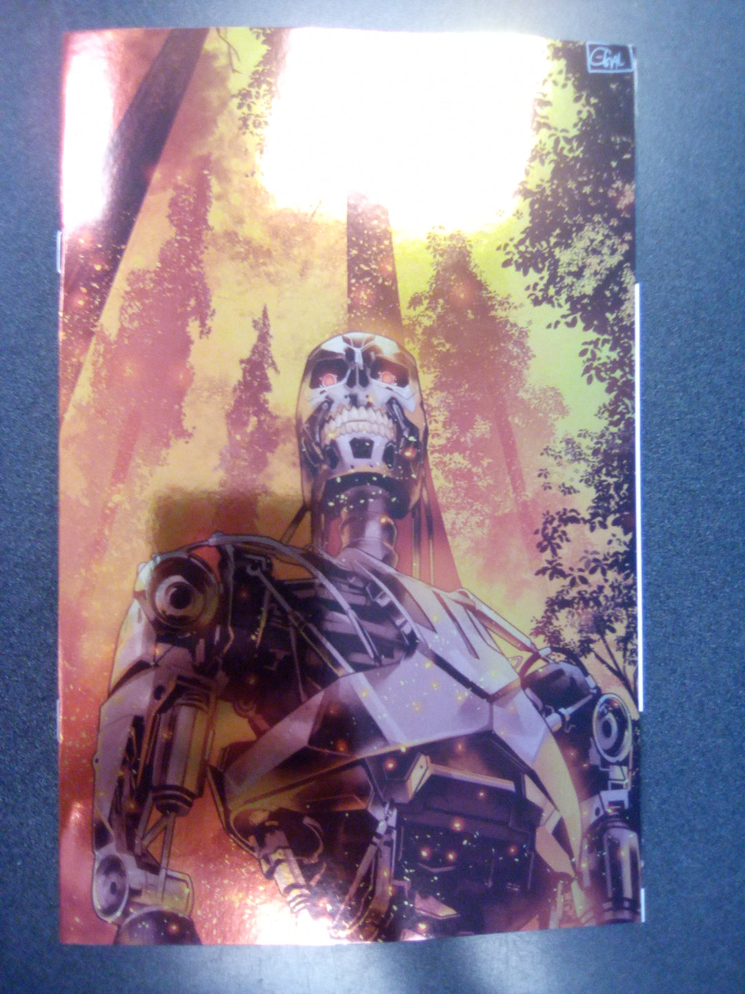 Terminator #1 Cover N 15 Copy Variant Edition Galmon Foil Virgin
