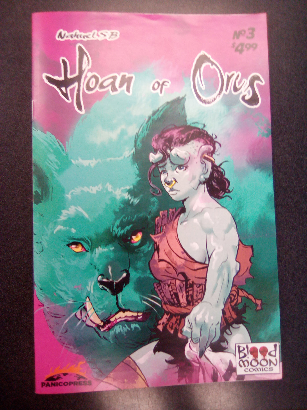 Hoan Of Orcs #3 (Of 4) Cover A Nahuel Sb