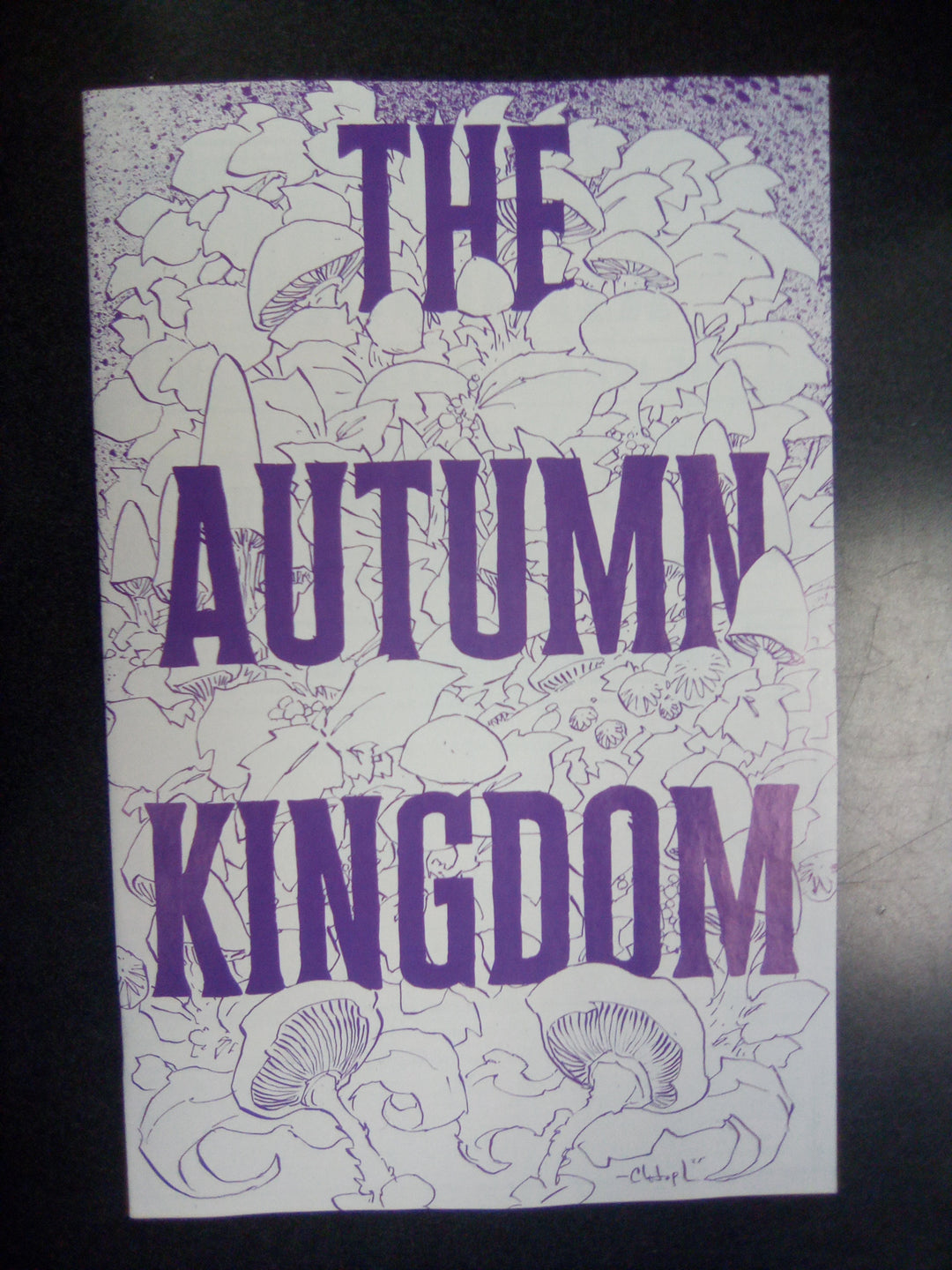 Autumn Kingdom The Wraithbound Queen #1 (Of 4) Cover E Inc 1:20 Christopher Mitten Black & White Variant