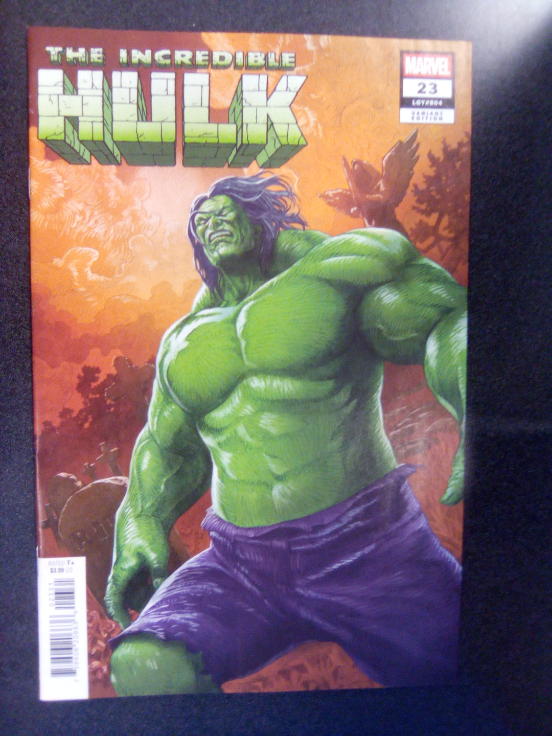 Incredible Hulk #23 Mitsuhiro Arita Variant
