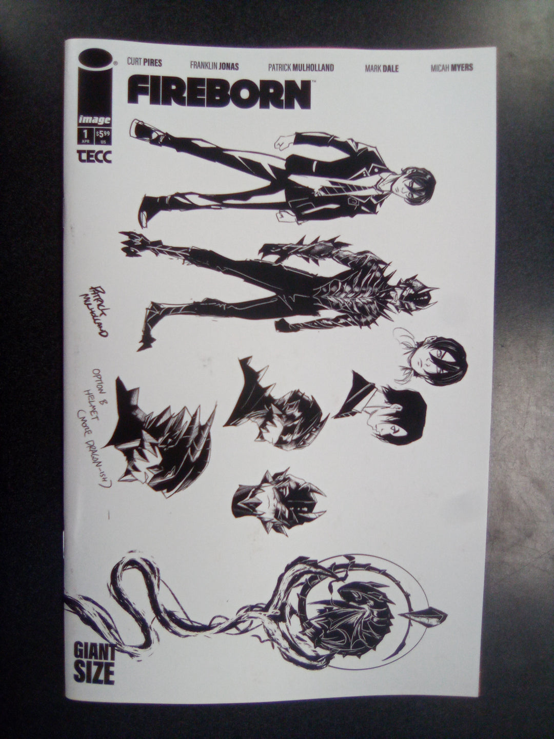 Fireborn #1 Cover F Inc 1:15 Patrick Mulholland Design Variant