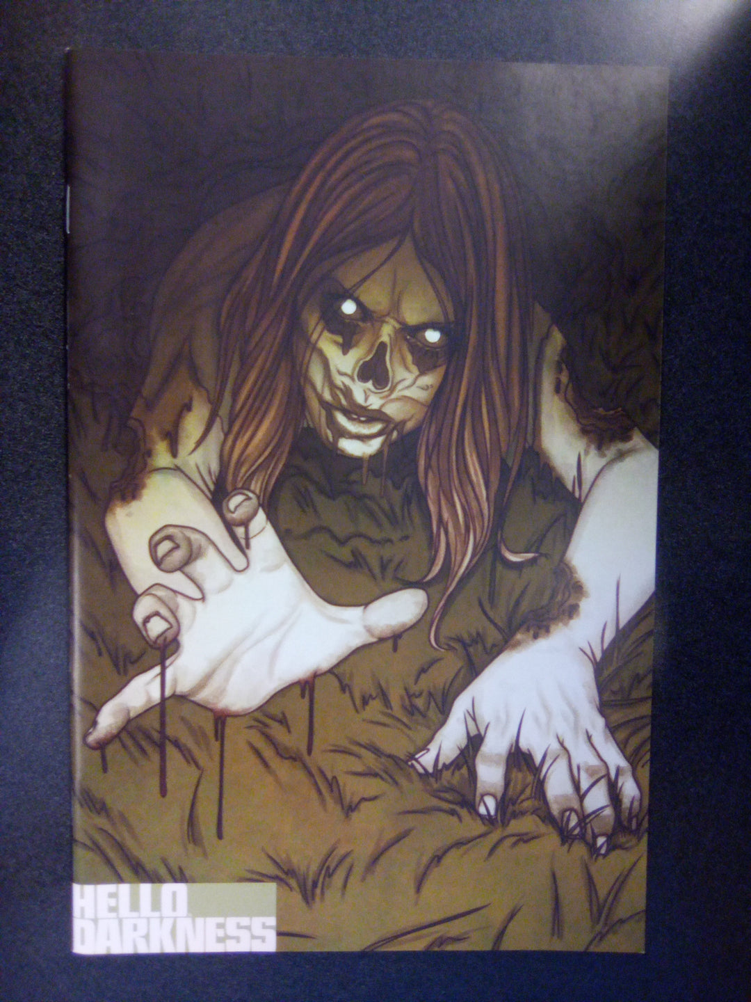 Hello Darkness #13 B Variant (Frison)