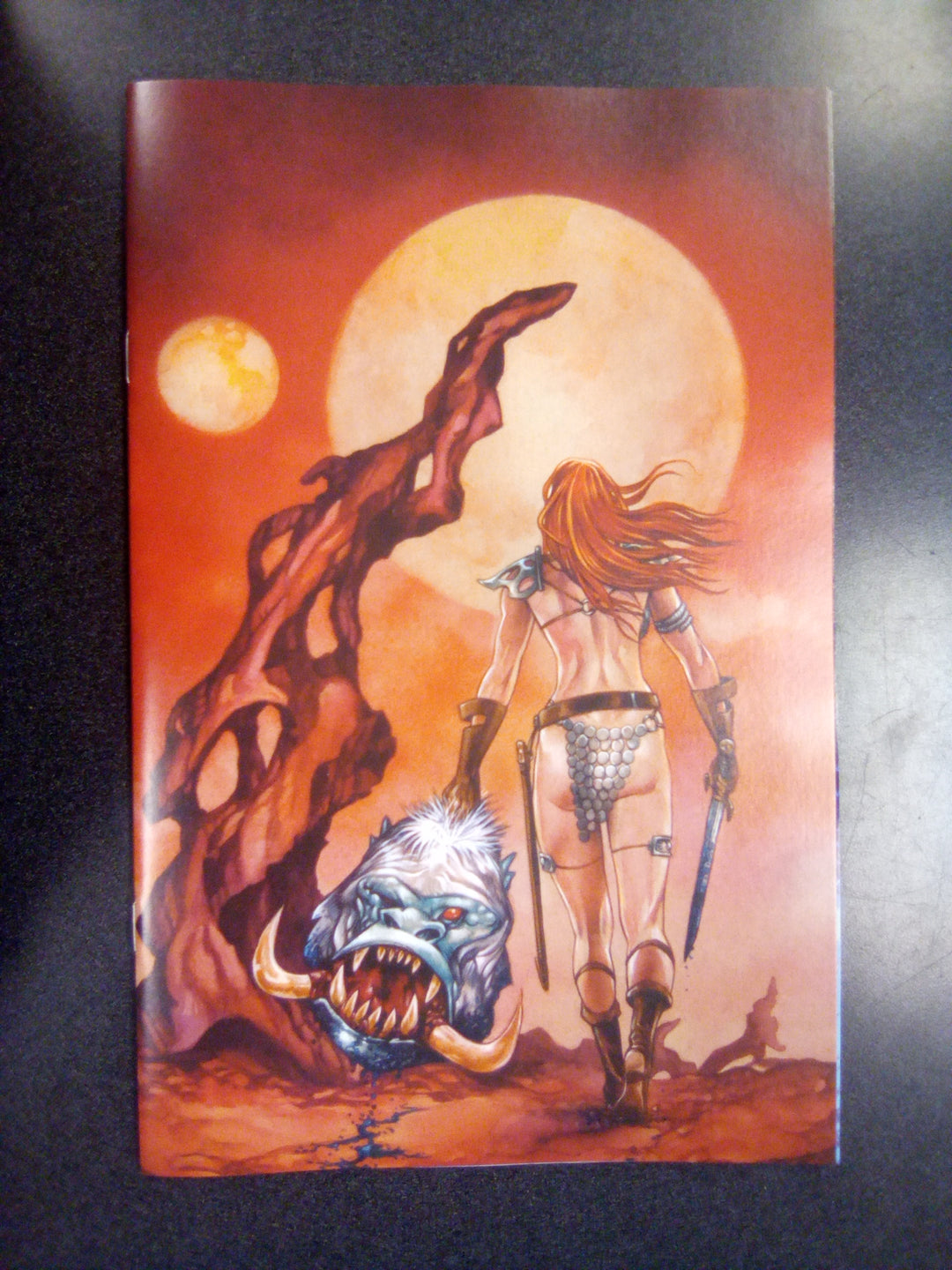 Altered States Warlords #1 Cover N Inc 1:20 Mike Rooth Full Art Variant