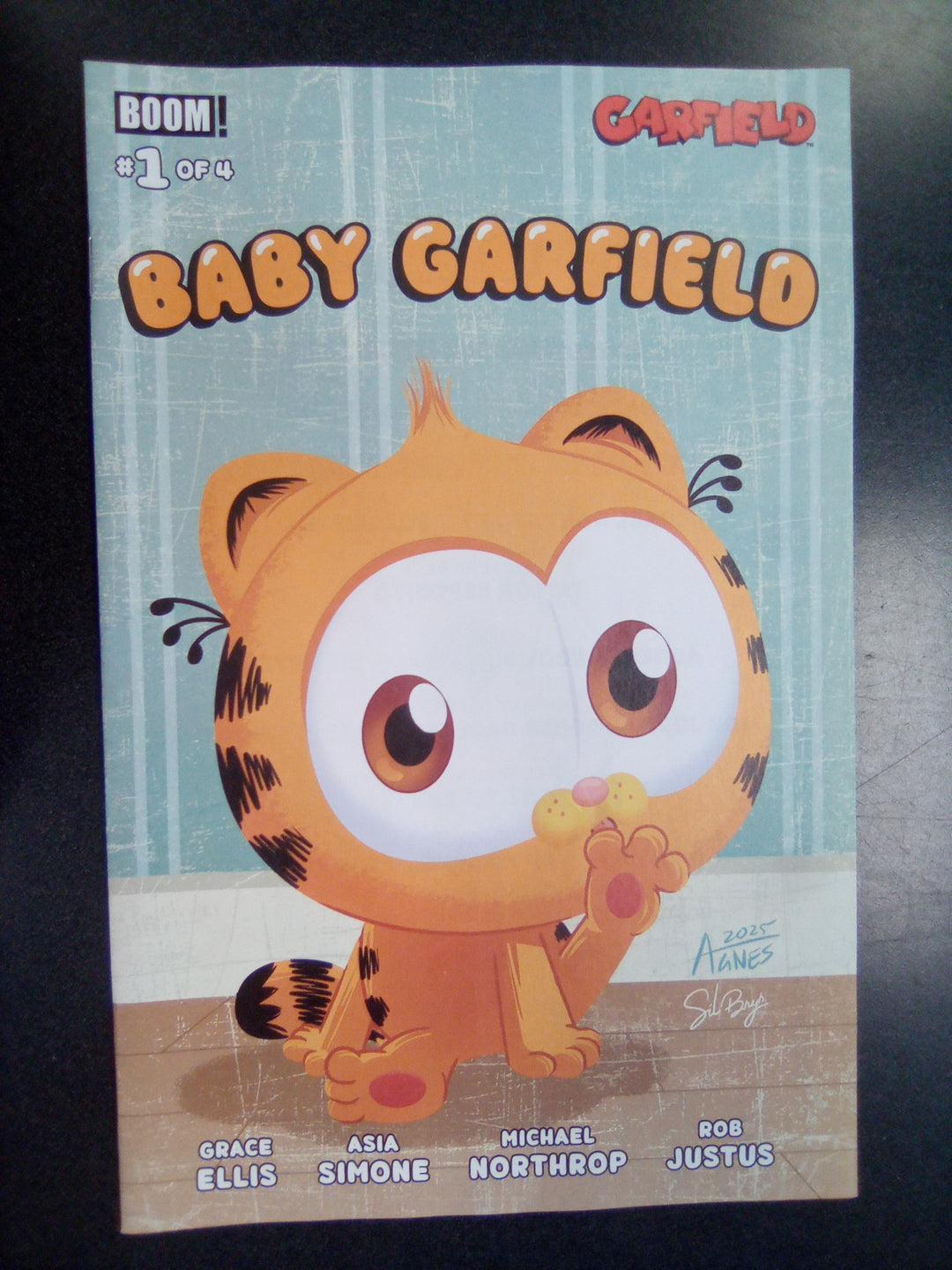 Baby Garfield #1 A Main (Dressed, Garbowska)