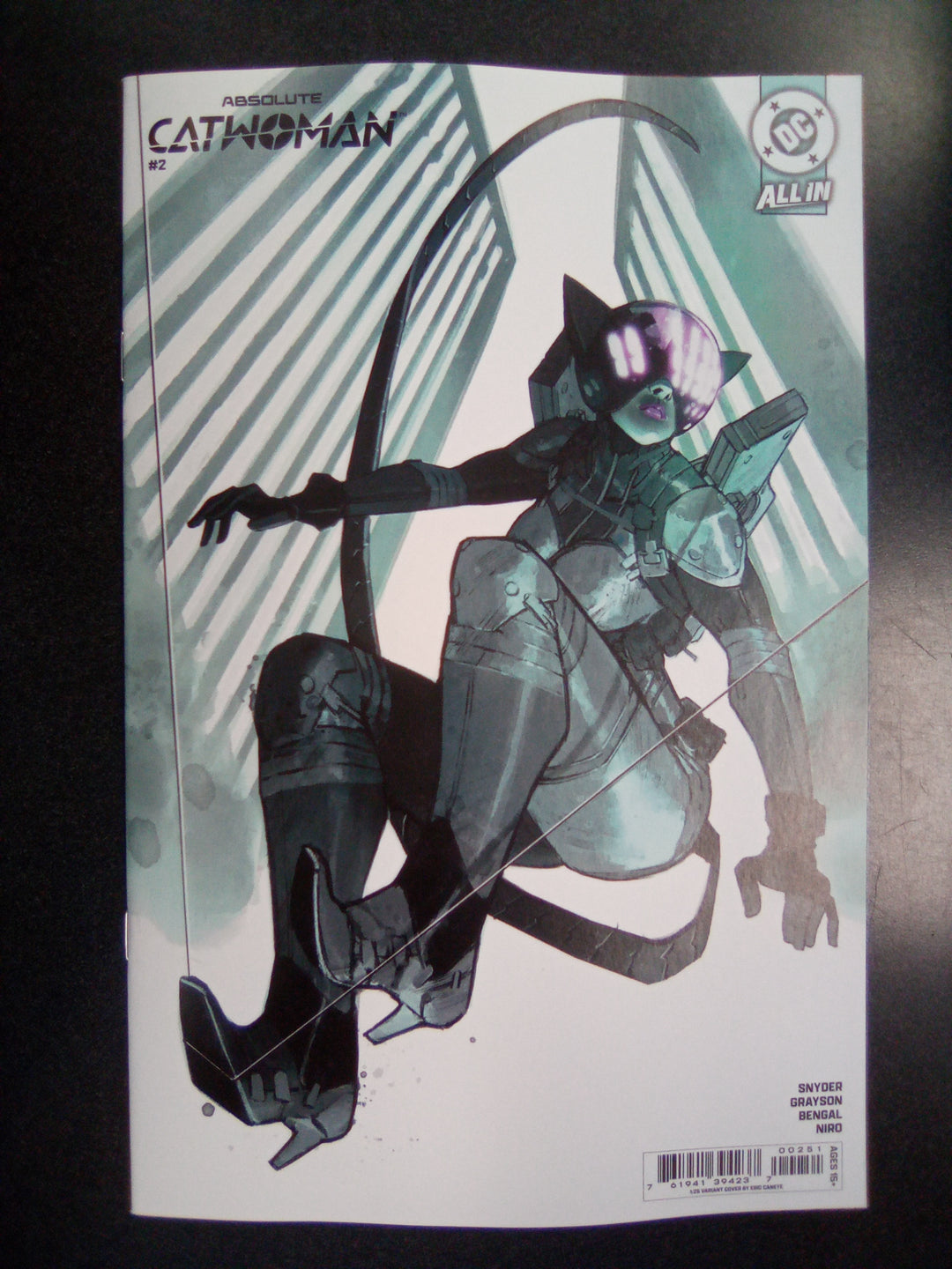 Absolute Catwoman #2 Cover E 1:25 Eric Canete Variant