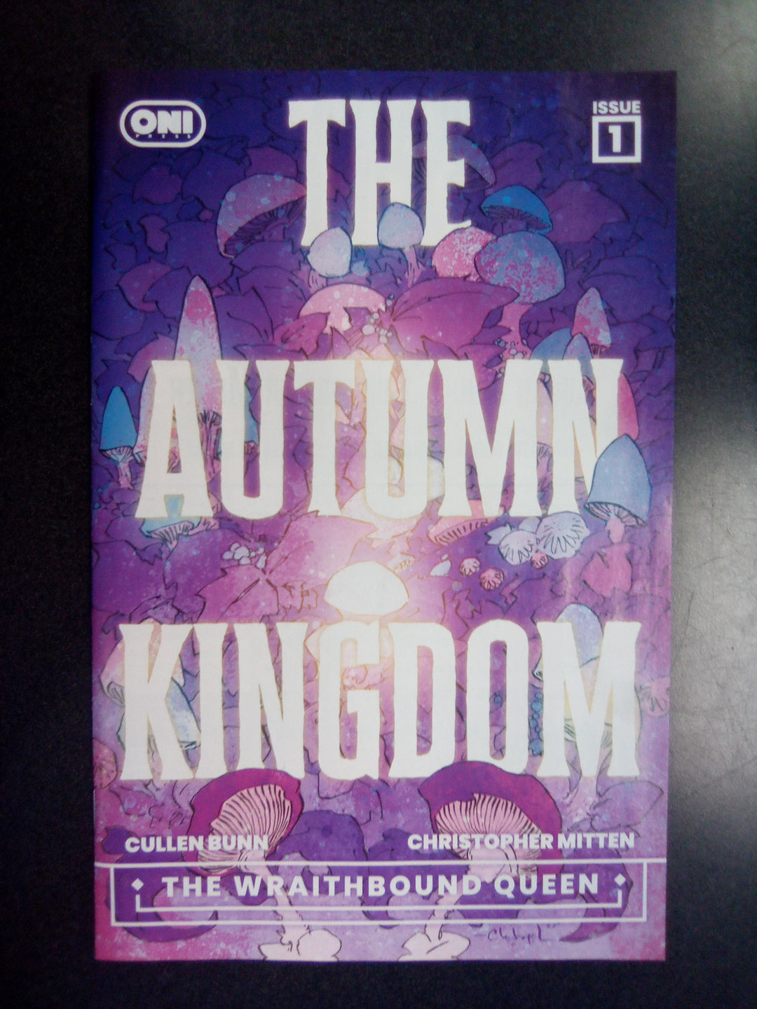 Autumn Kingdom The Wraithbound Queen #1 Cover A Christopher Mitten