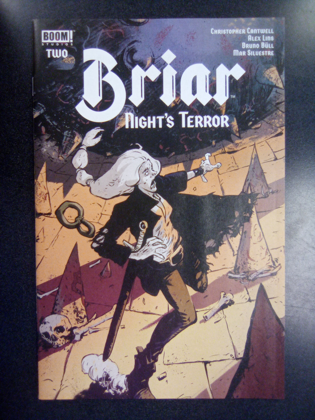 Briar: Night's Terror #2 A Main (Lins)