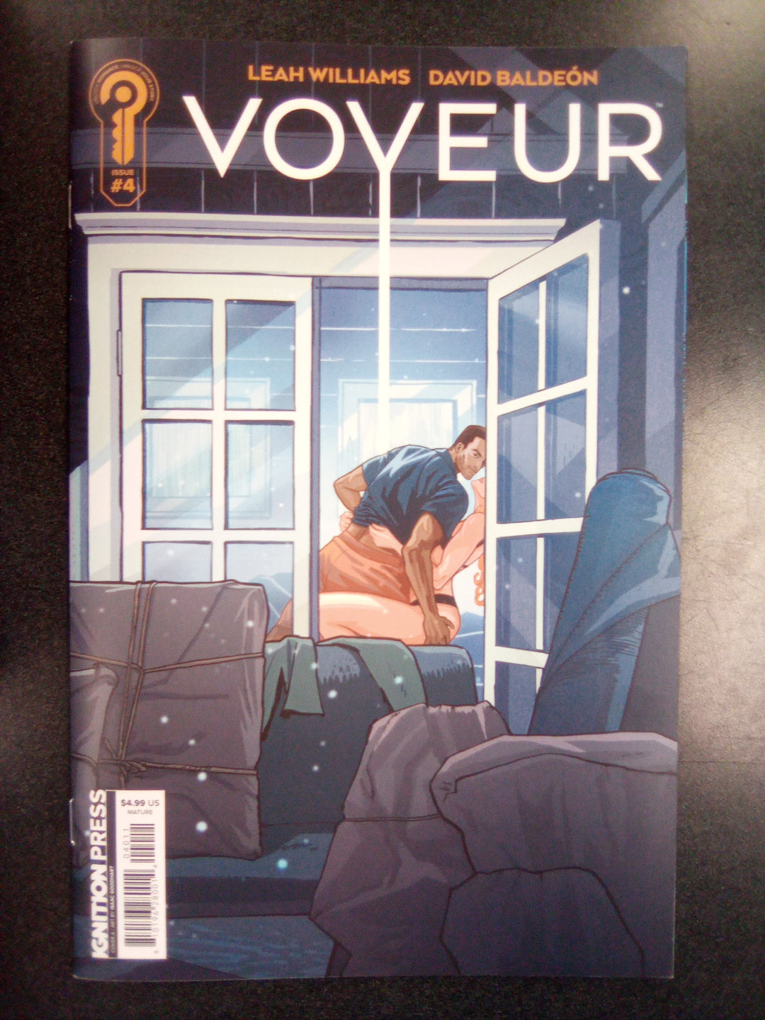 Voyeur #4 Cover A Isaac Goodhart