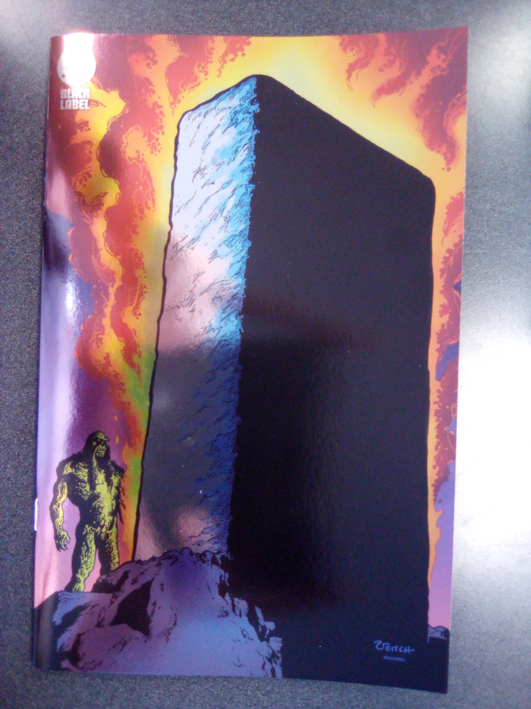 Swamp Thing 1989 #3 Cover B Rick Veitch Foil Variant