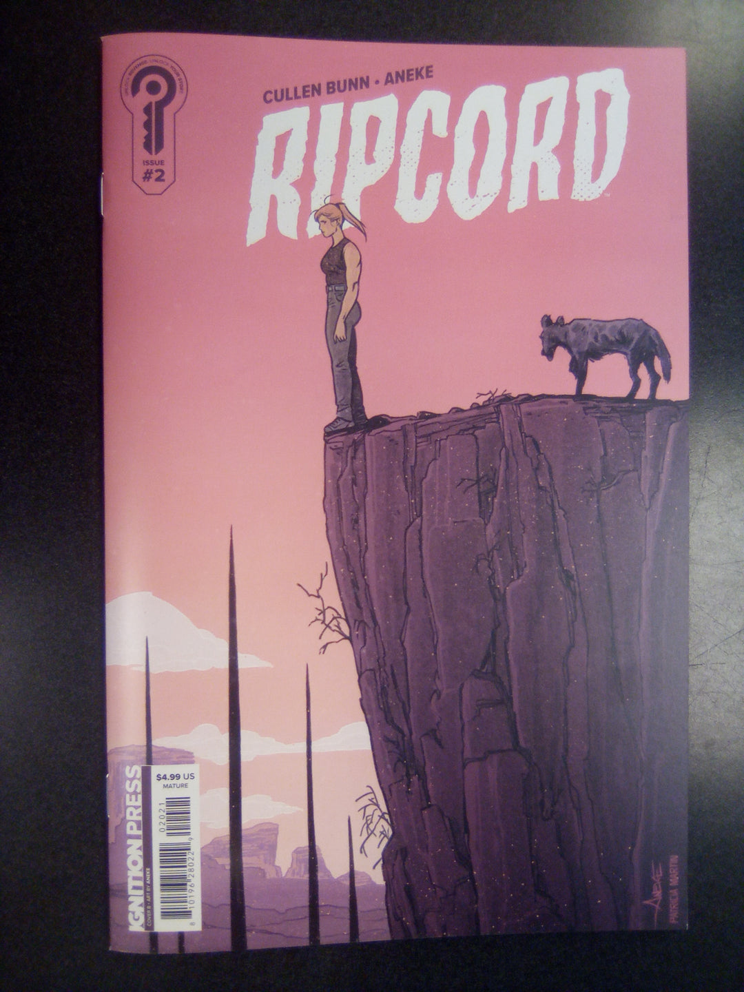 Ripcord #2 Cover B Aneke