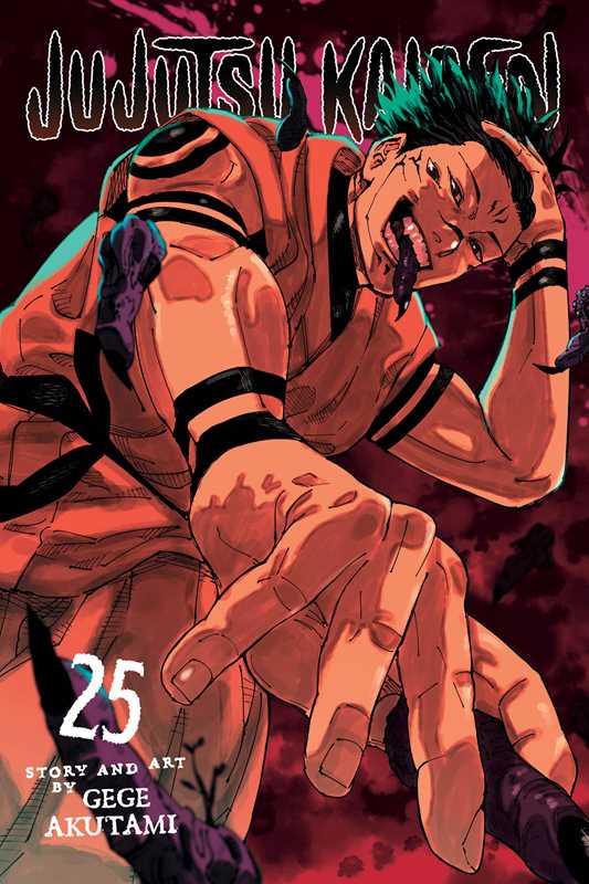 Jujutsu Kaisen, Vol. 25 by Gege Akutami: Paperback; 208 pages / English
