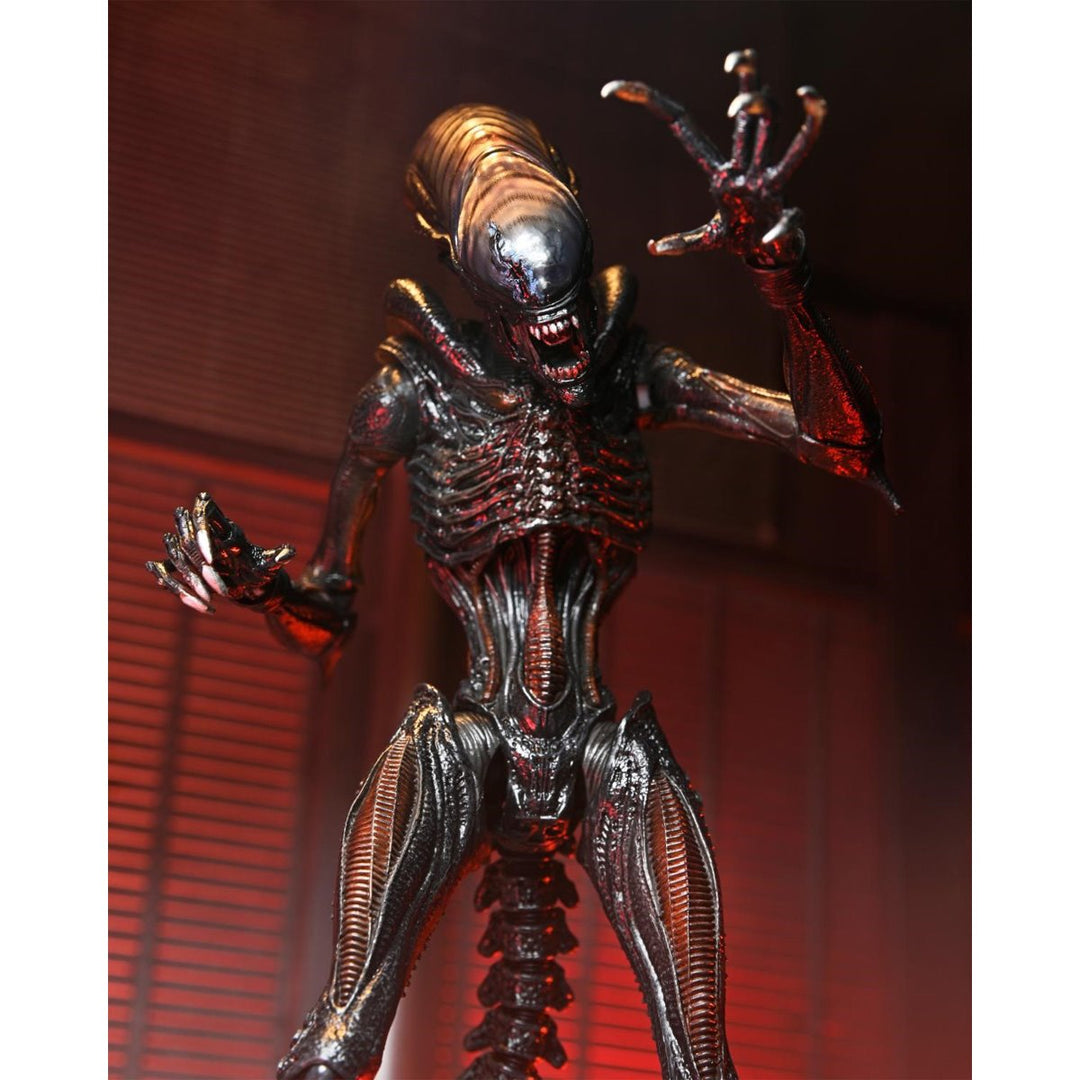 Alien: Romulus Ultimate Scorched Xenomorph 7-Inch Scale Action Figure