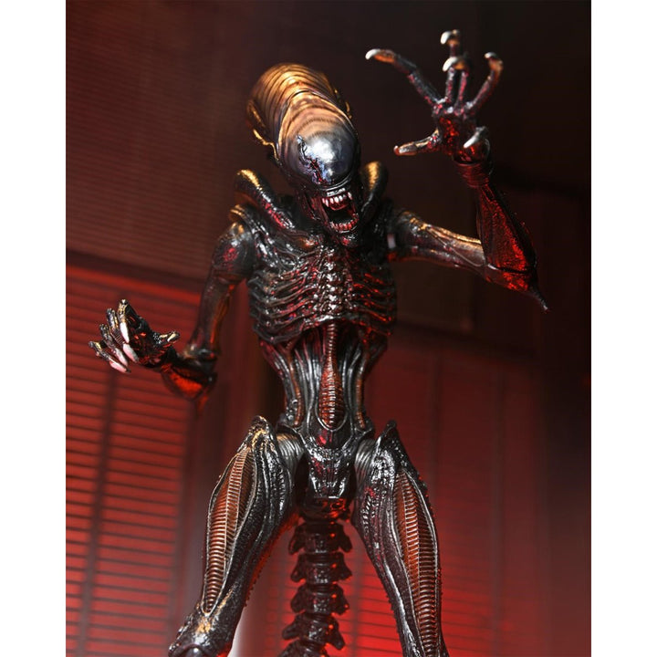 Alien: Romulus Ultimate Scorched Xenomorph 7-Inch Scale Action Figure