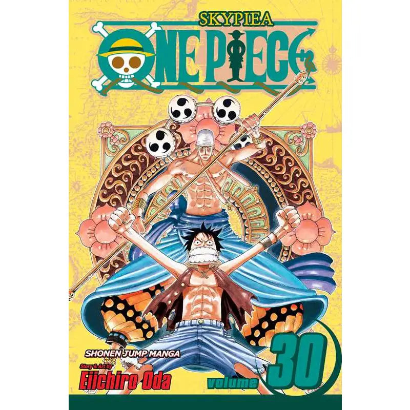 One Piece Graphic Novel Volume 30