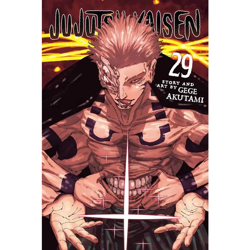 Jujutsu Kaisen Vol 29
