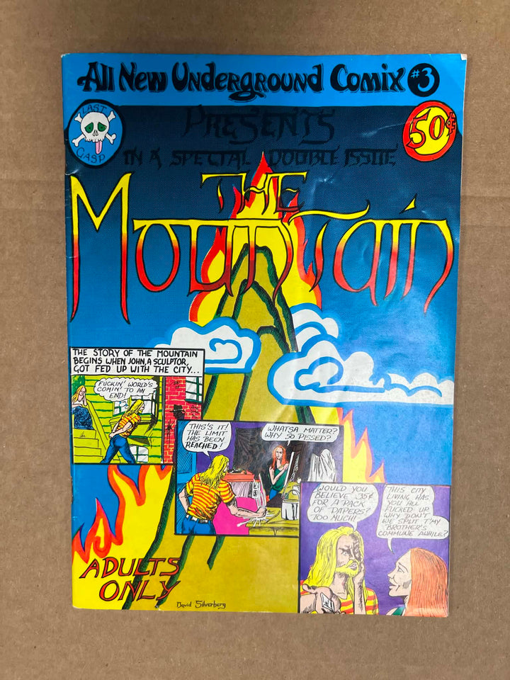 All New Underground Comix #3 High School Funnies (1973)