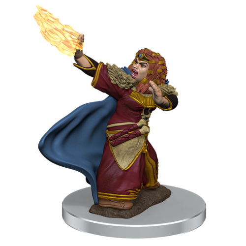 Female Dwarf Wizard