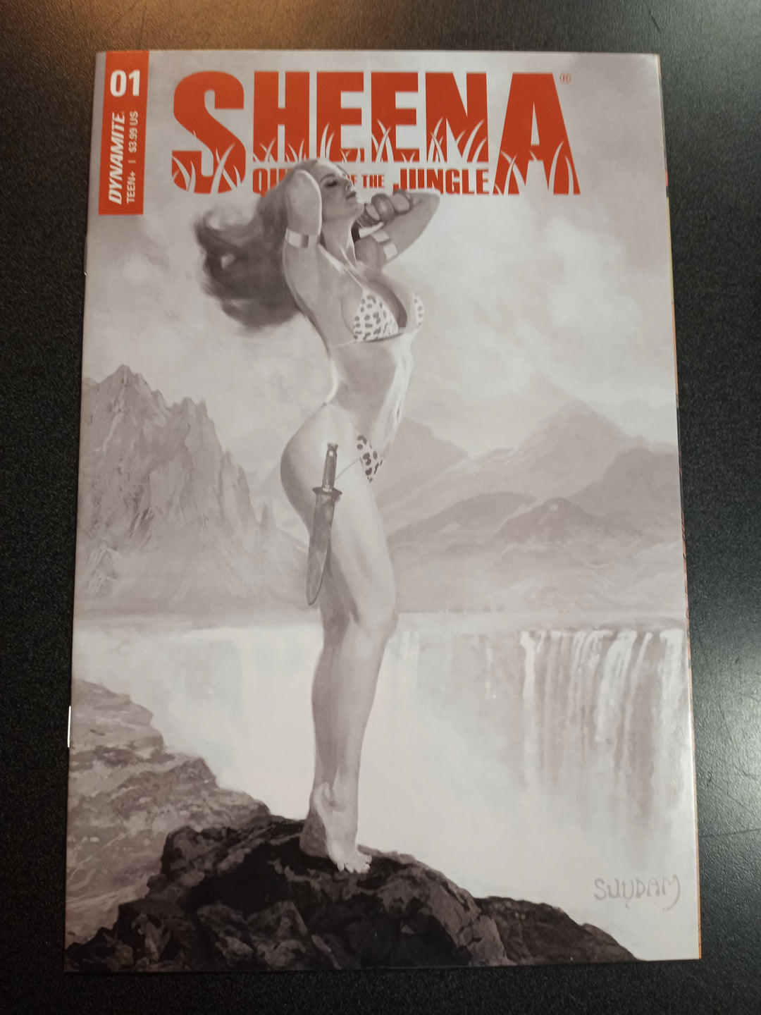 Sheena Queen of the Jungle #1 1:40 Suydam B&W Variant