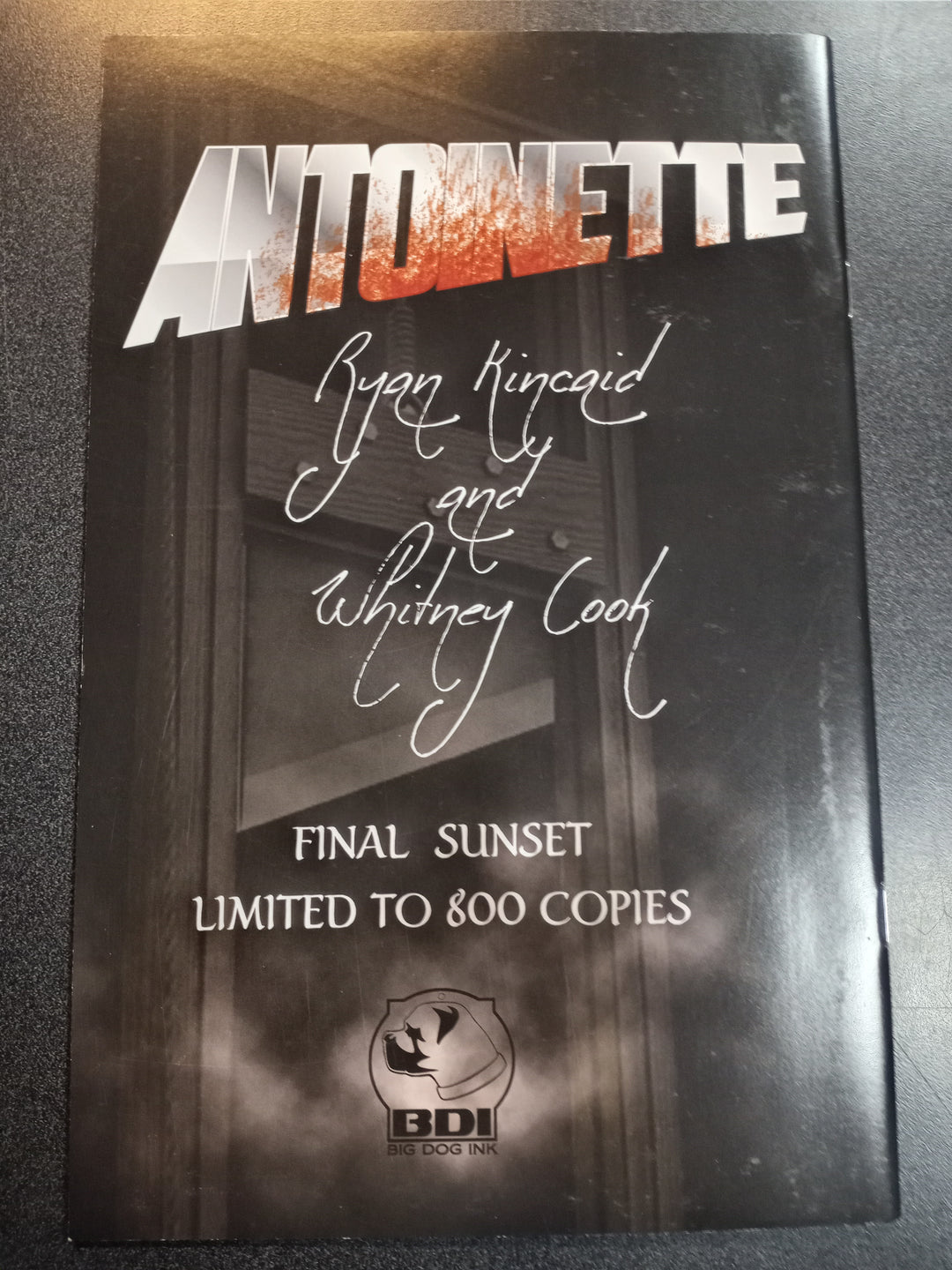 Antoinette #225 Cover A Ryan Kincaid