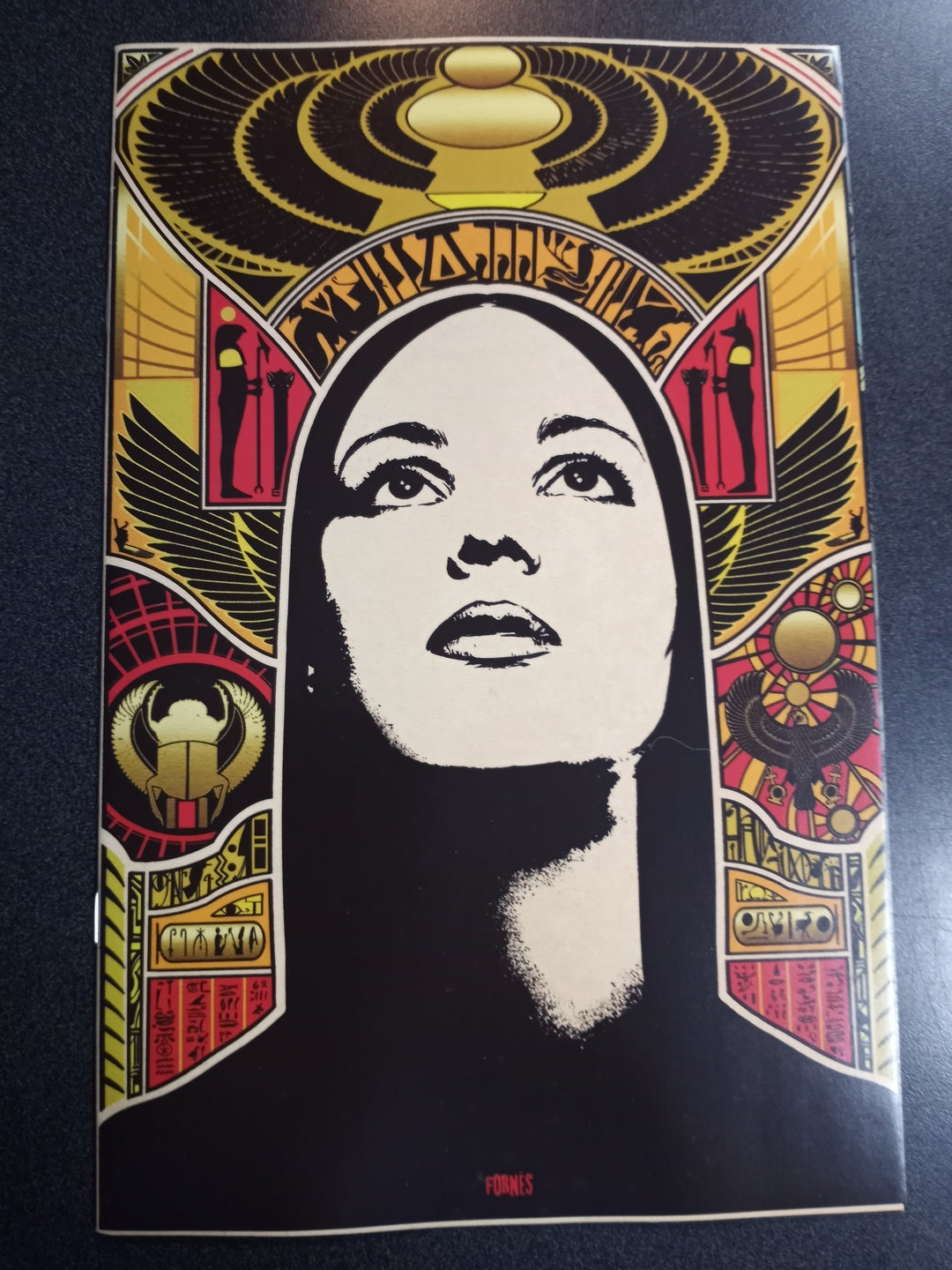 Pantha #5 Cover I 25 Copy Variant Edition Fornes Virgin